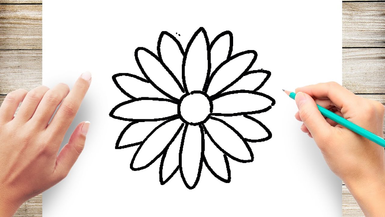 how to draw a daisy flower