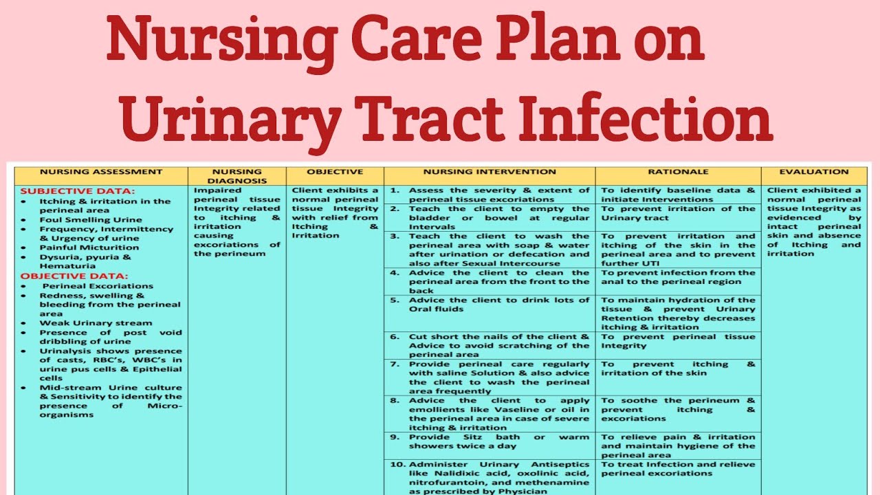 nursing diagnosis for uti