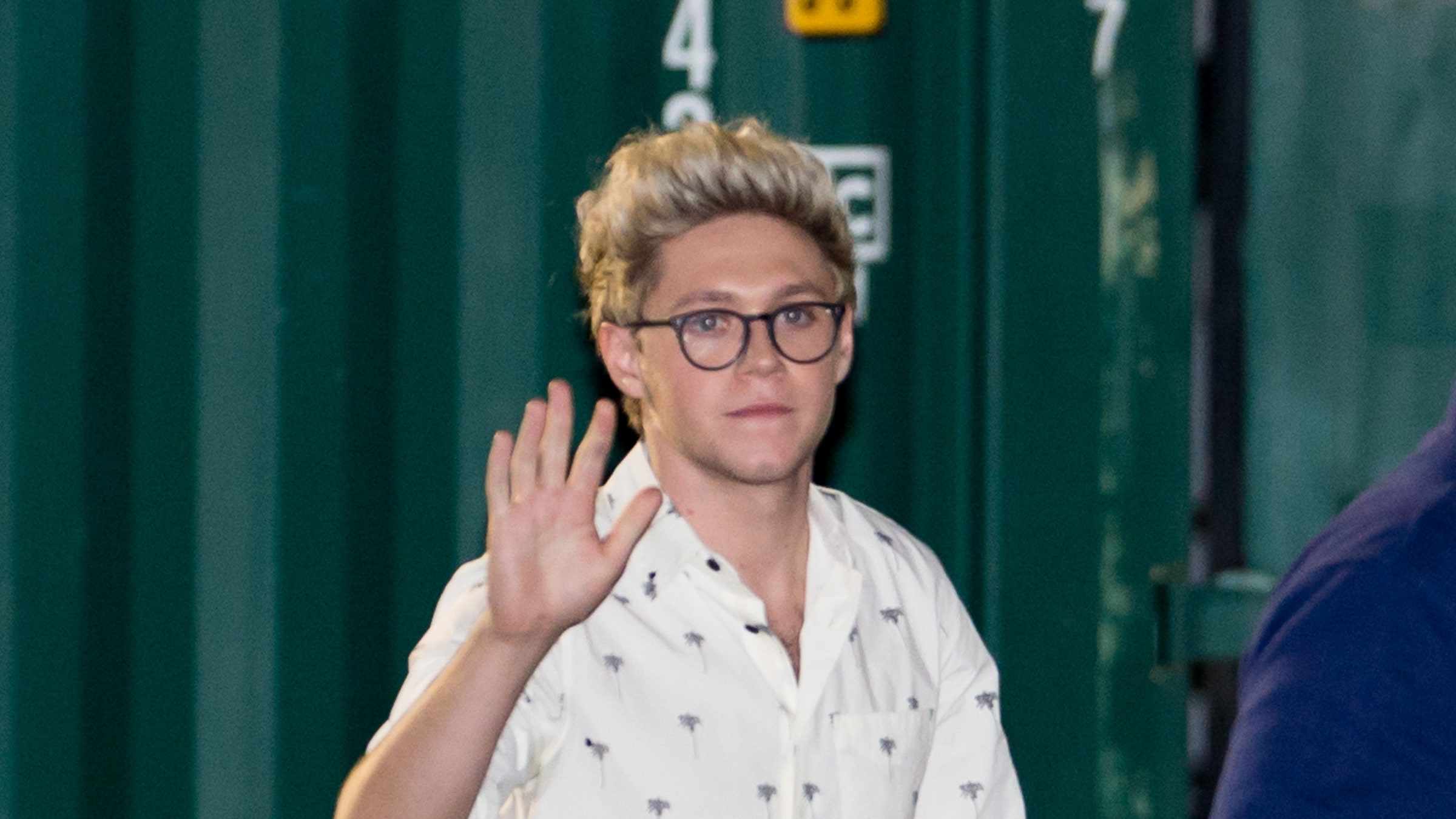 niall horan glasses