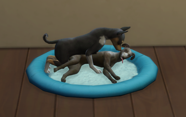 sims 4 bestiality mods