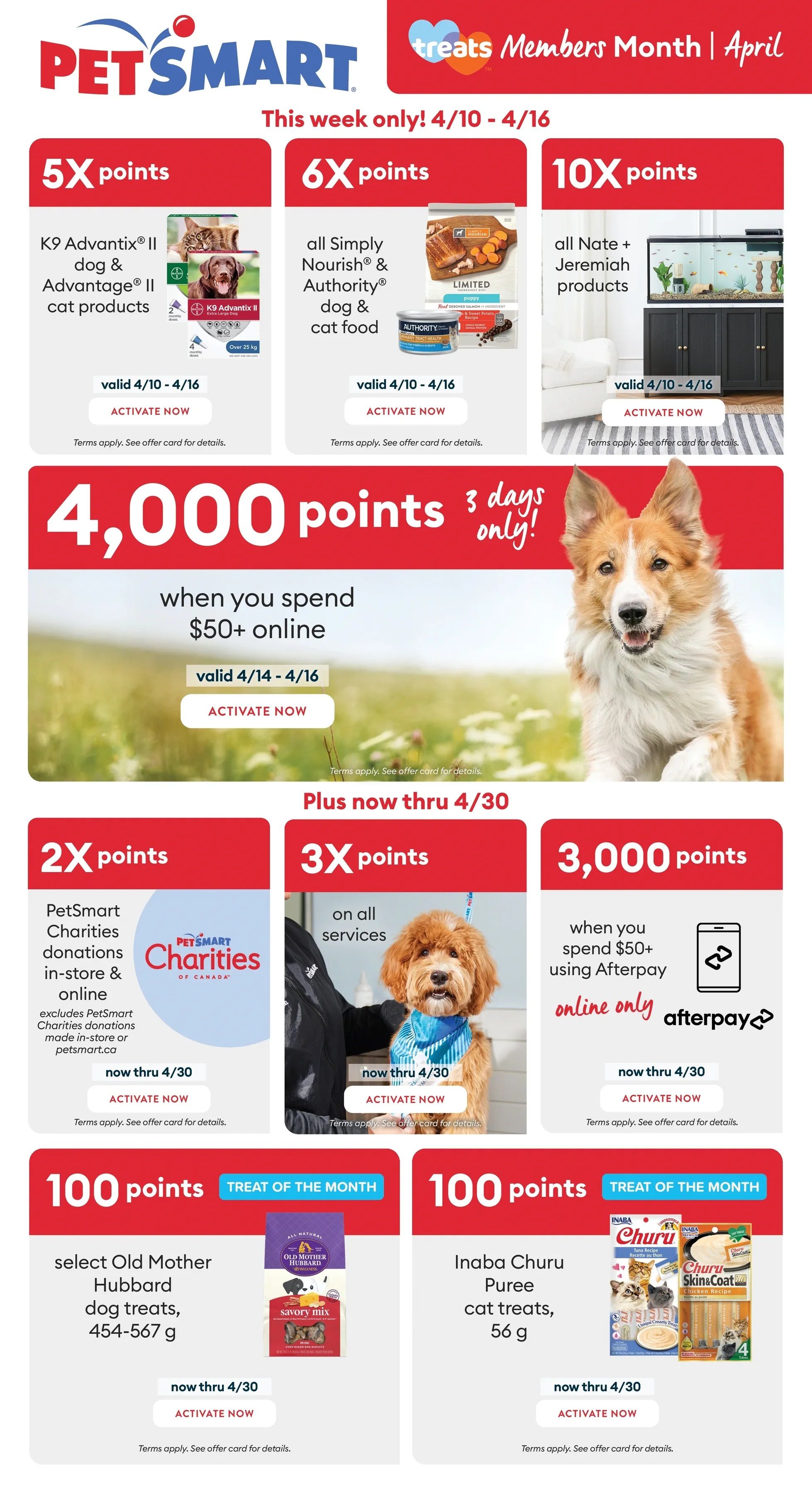 pet smart flyer