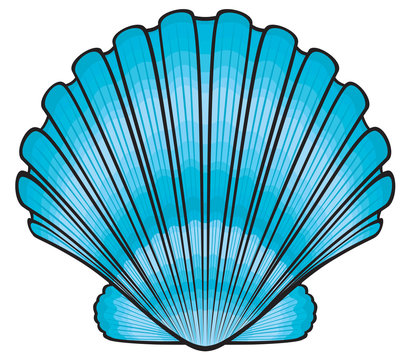 shells clipart