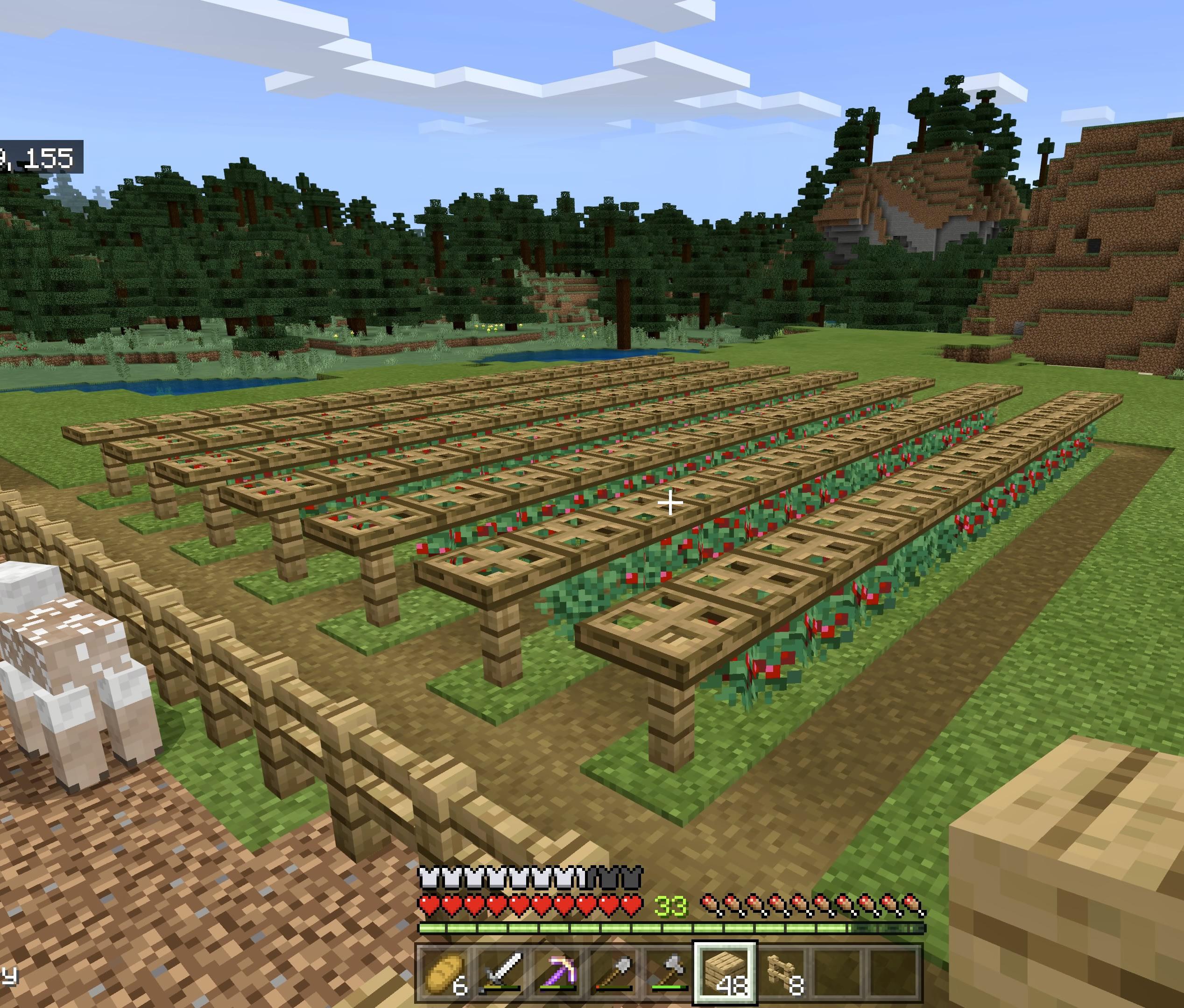 how to grow sweet berries in minecraft