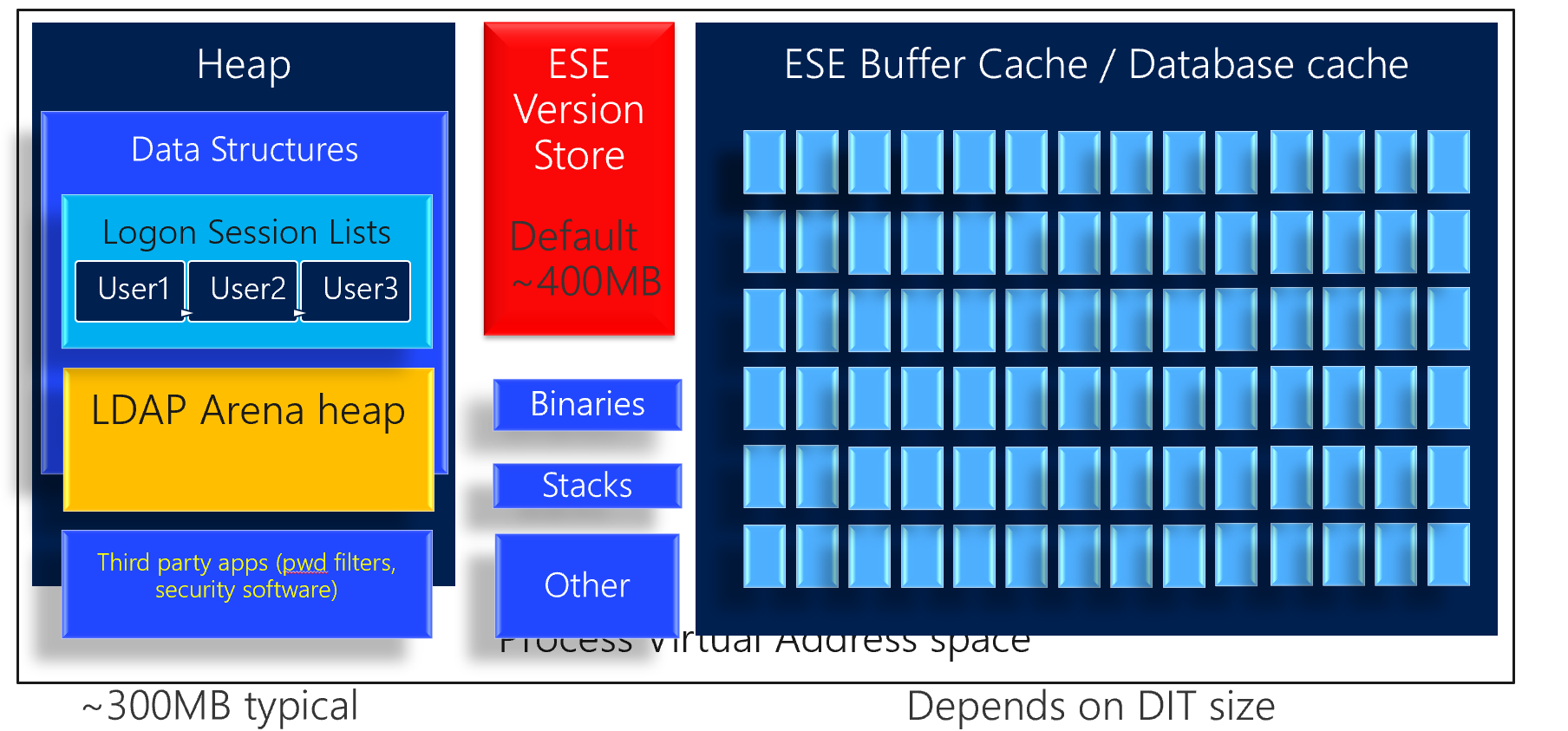 lsass exe high memory