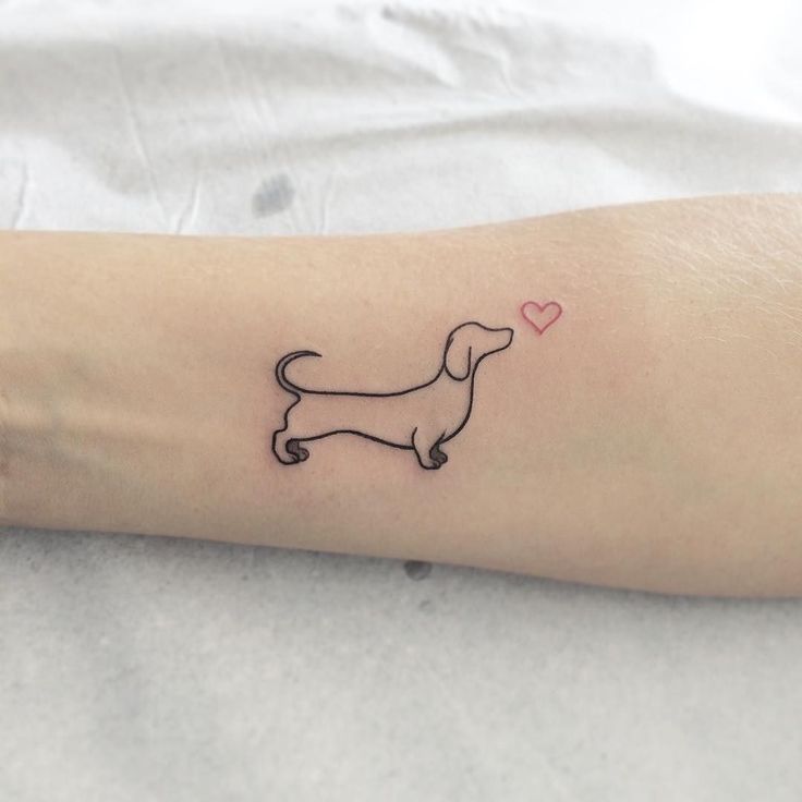 dachshund tattoo