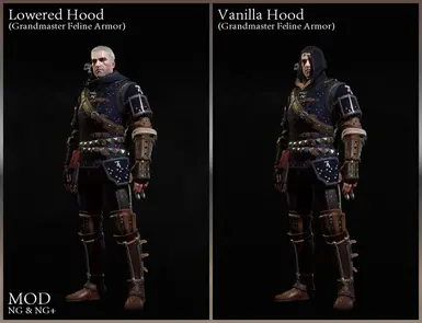 witcher 3 armor mod