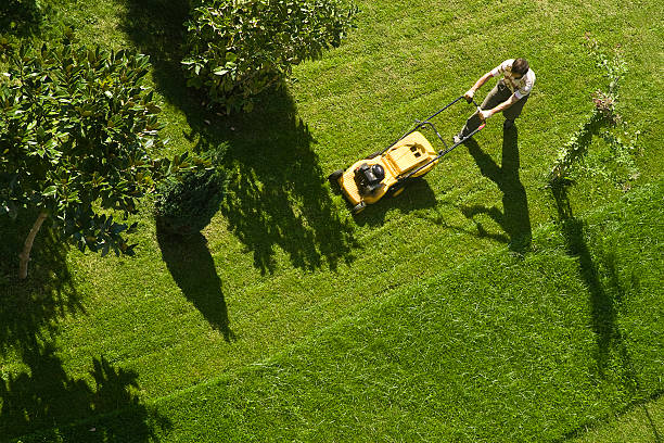 lawncare guy