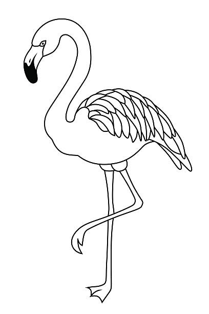 flamingo outline