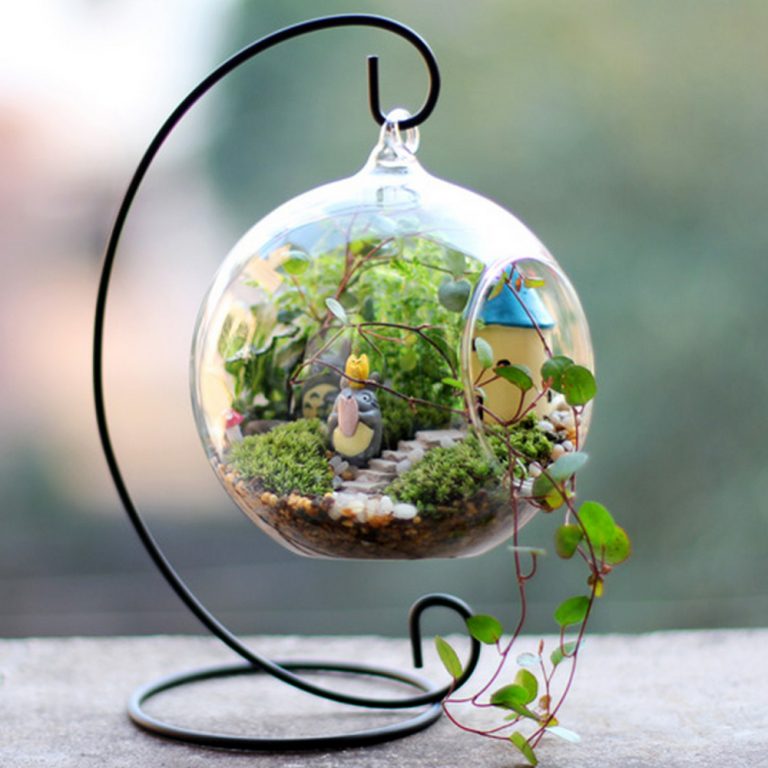 terrarium meaning in hindi