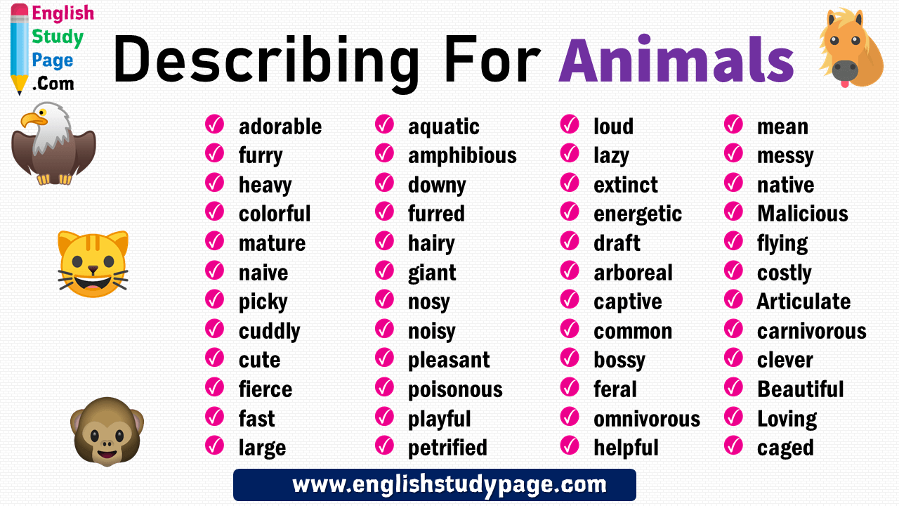 other words for animals