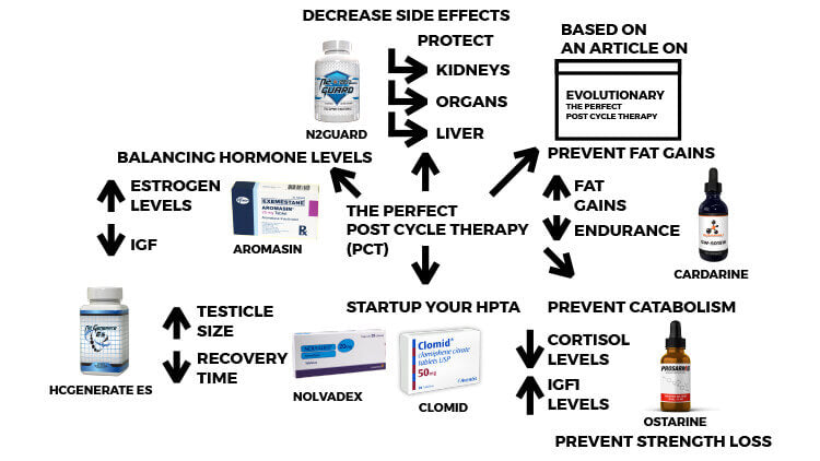 how to take nolvadex pct