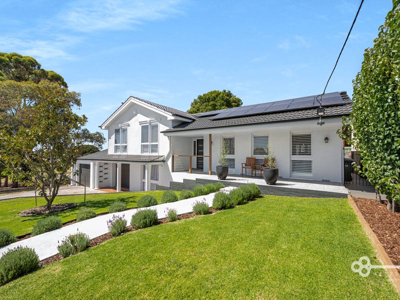 domain real estate mount gambier