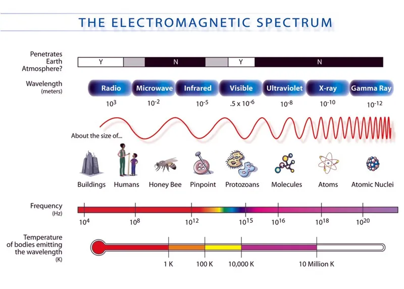 which of the following has the shortest wavelength