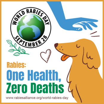 world rabies day hashtags