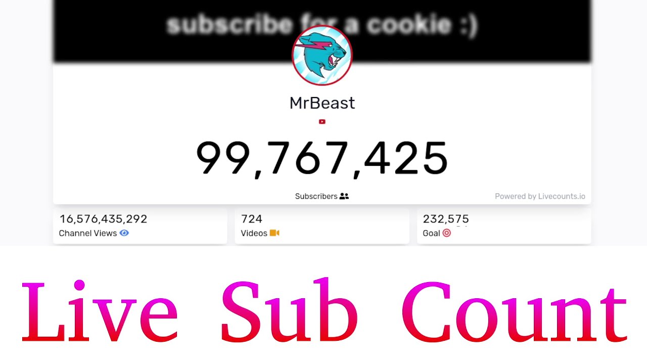 mrbeast live subscriber count