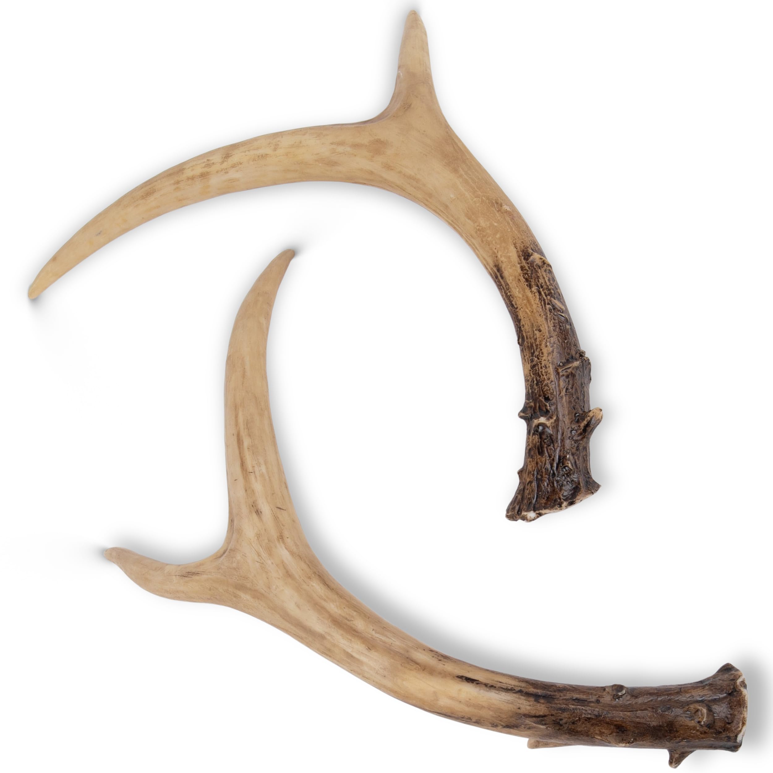 decorative antlers