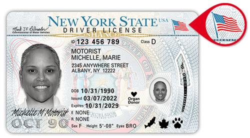nys license verification