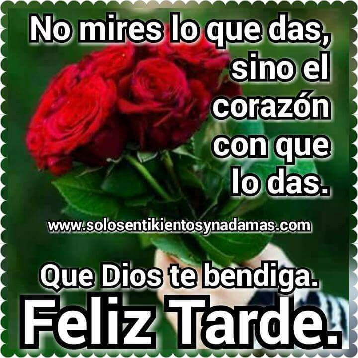 feliz tarde frases