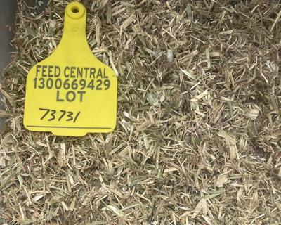 feed central hay for sale