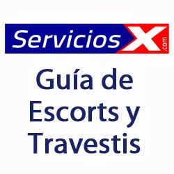 serviciosx.com