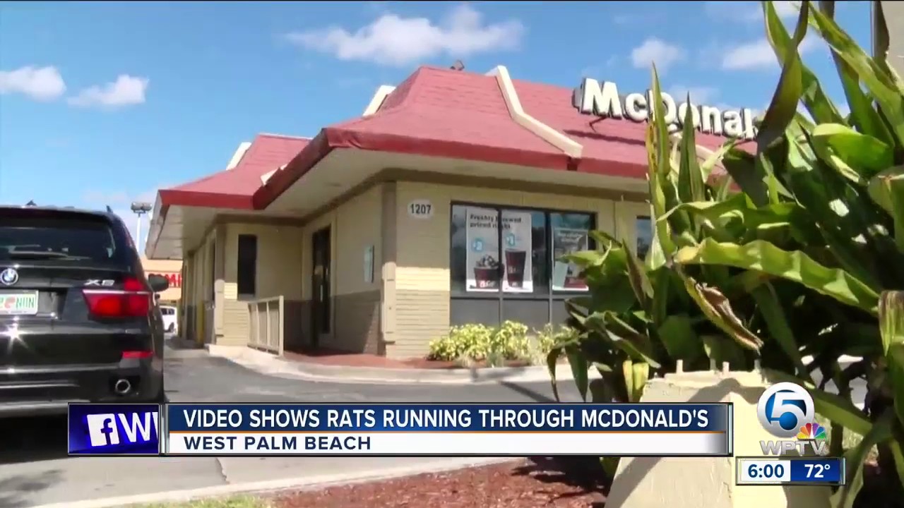 mcdonalds palm beach