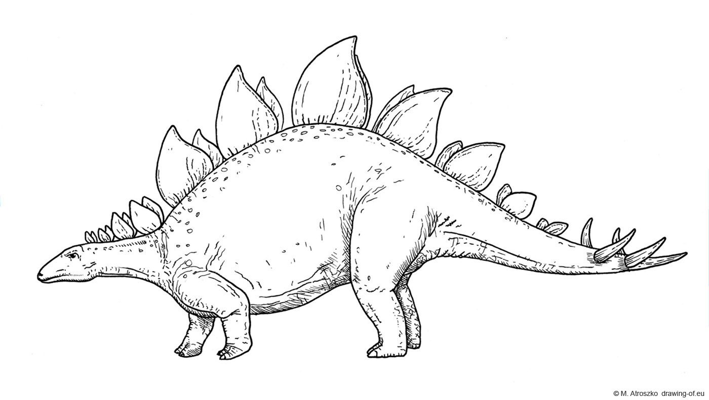 stegosaurus dibujo