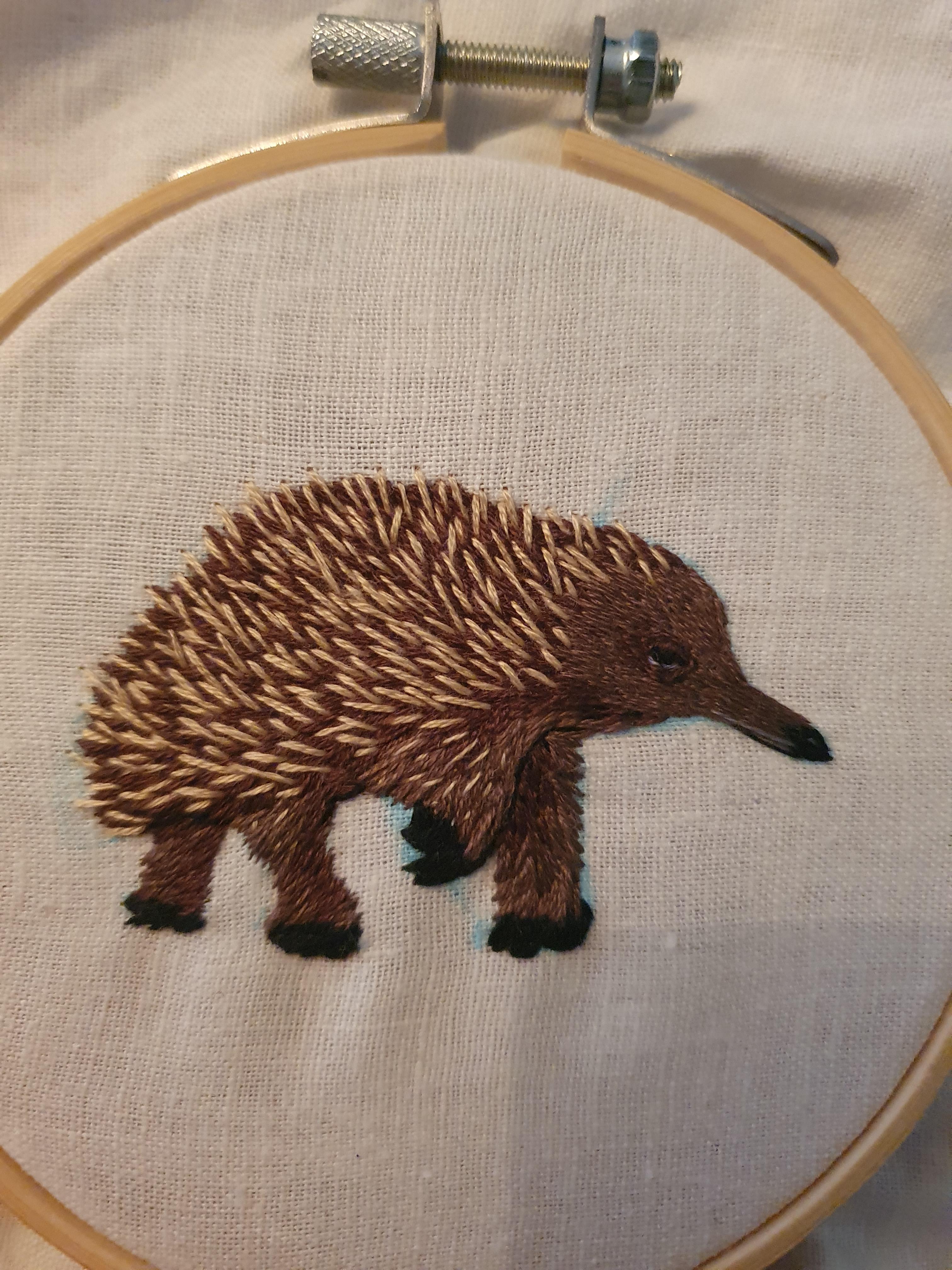 echidna embroidery