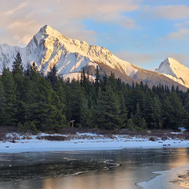 el tiempo en jasper