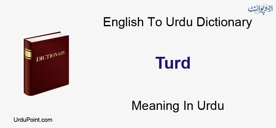 turd meaning in hindi