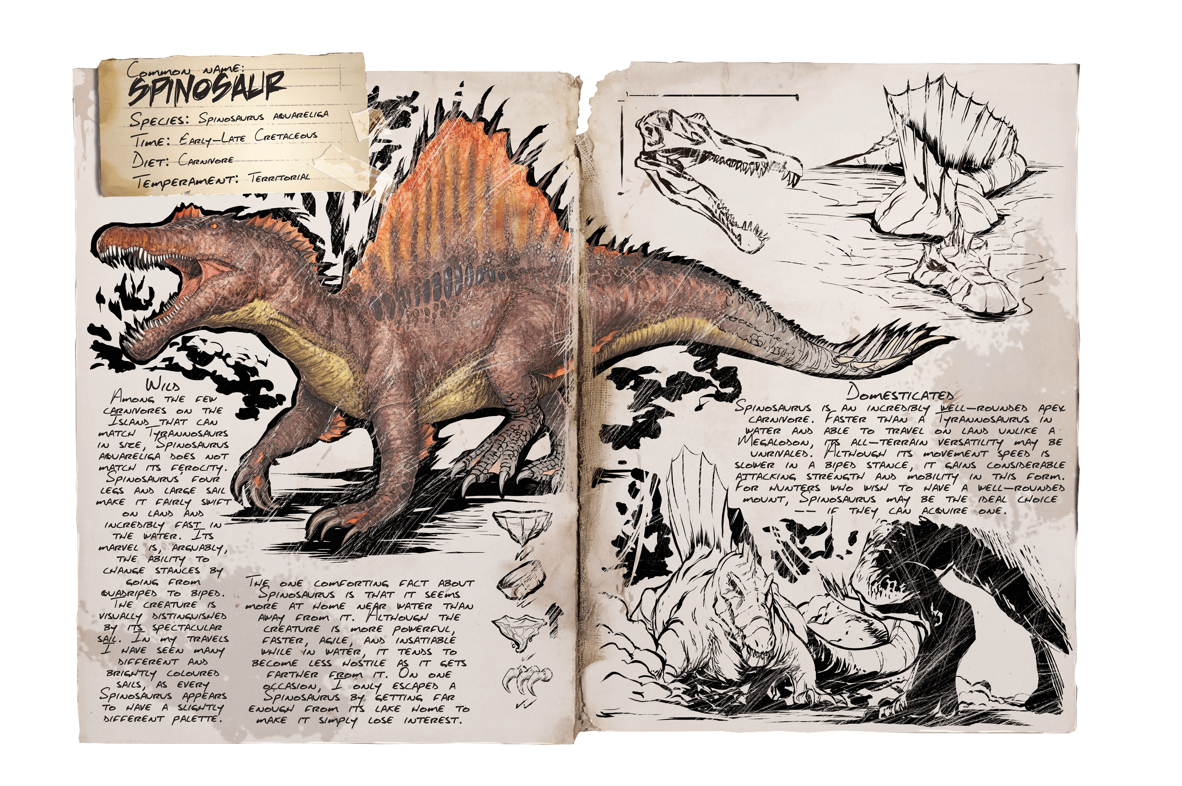 ark spino