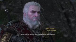 einar the witcher 3