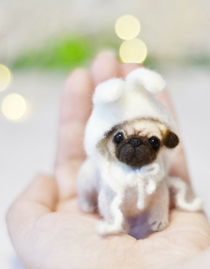 mini pug