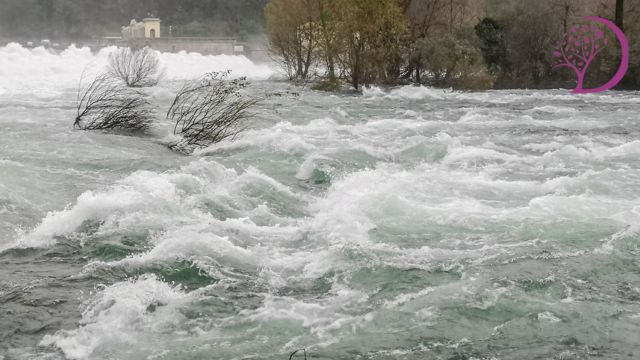 rüyada evin sel bastığını görmek