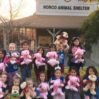 norco animal control shelter photos