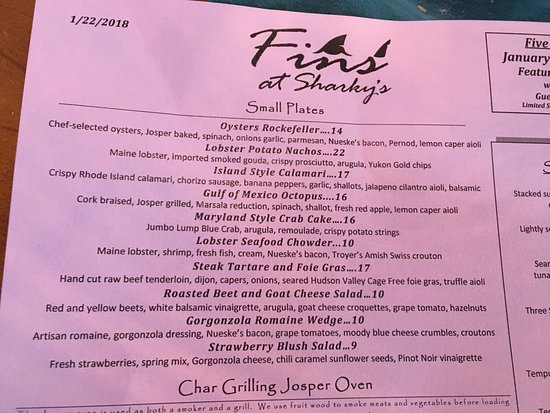 fins venice fl menu