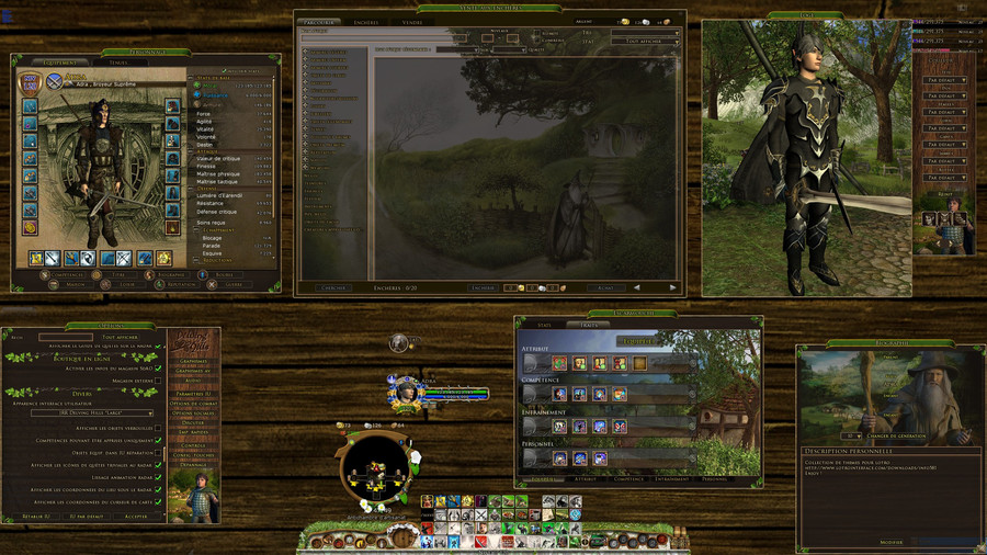 lotro interface