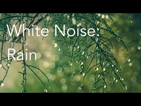 rainfall sounds relaxation