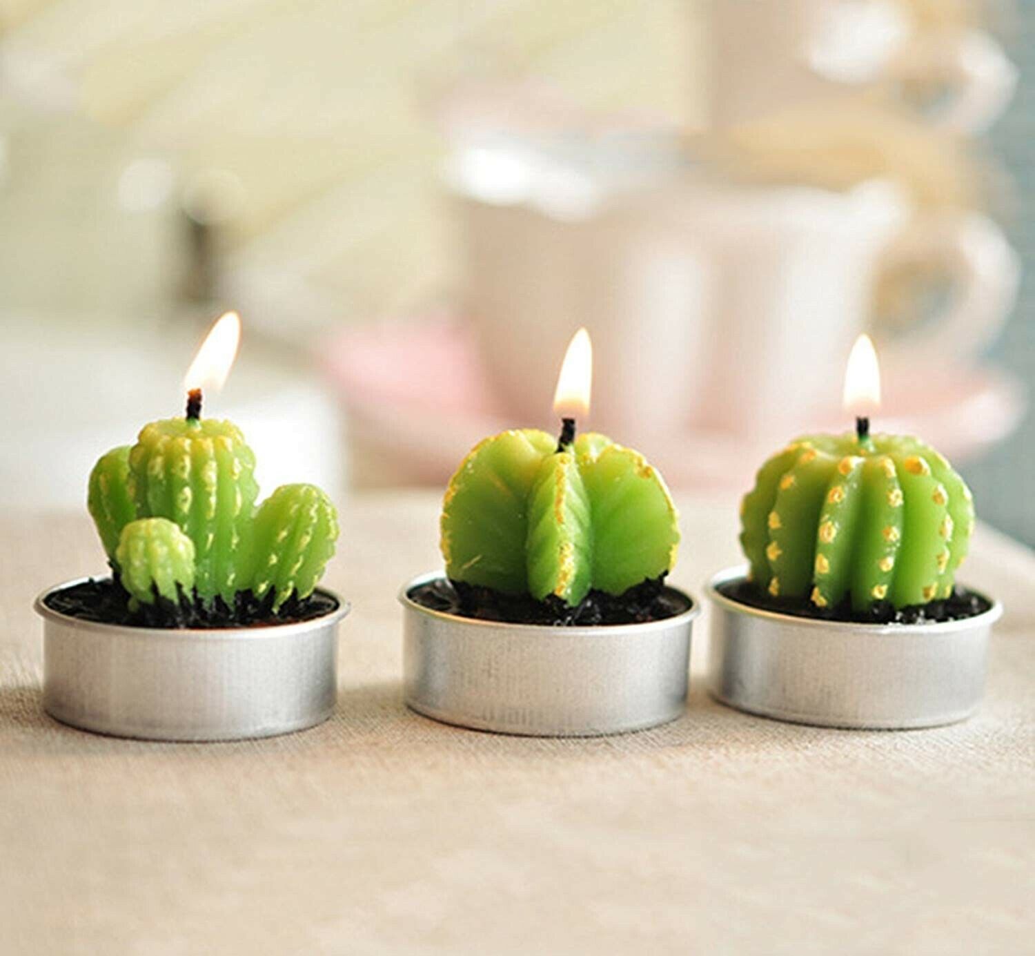 cactus tea lights