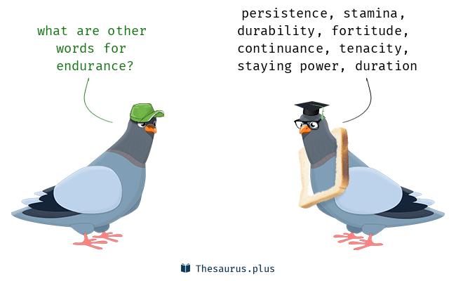 endurance thesaurus
