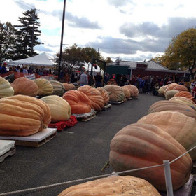 stillwater harvest fest photos