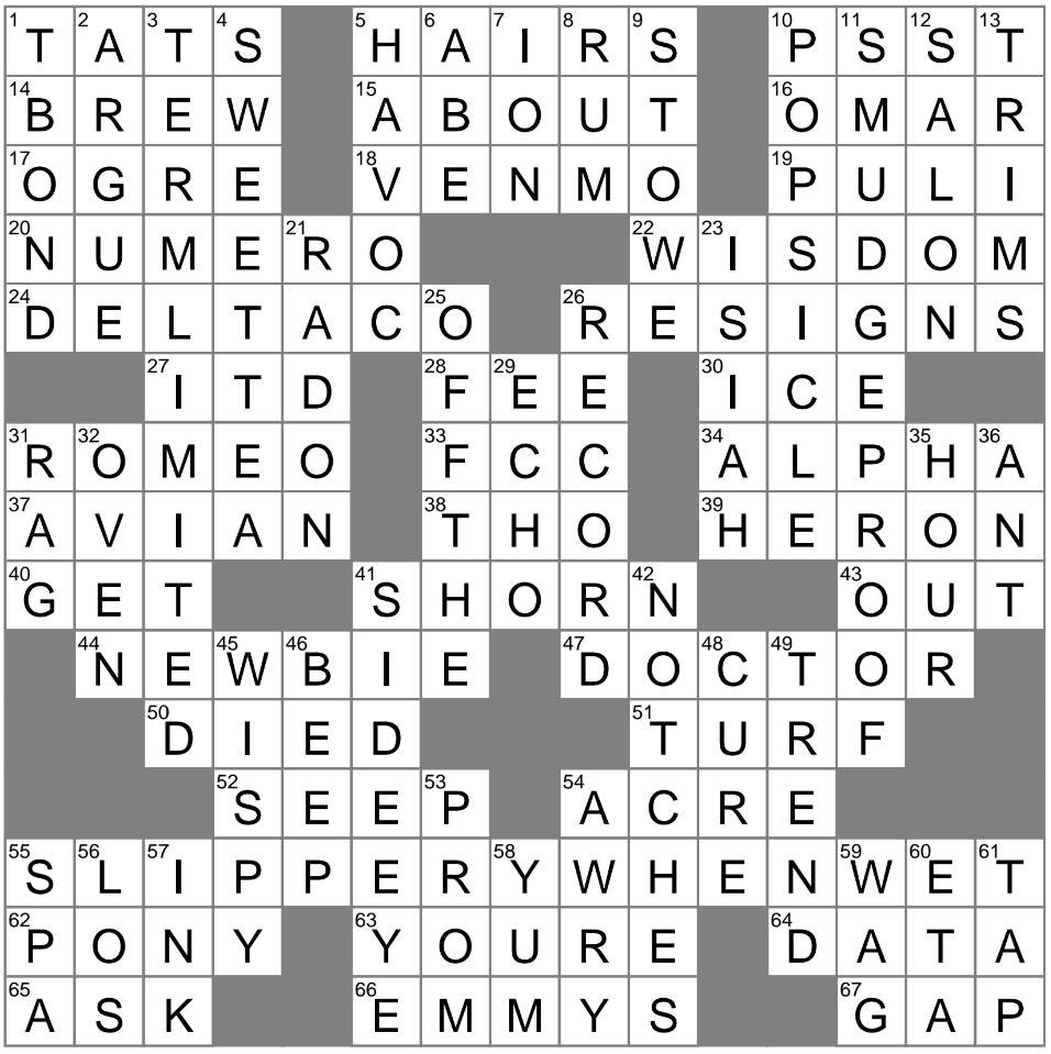 look at crossword clue