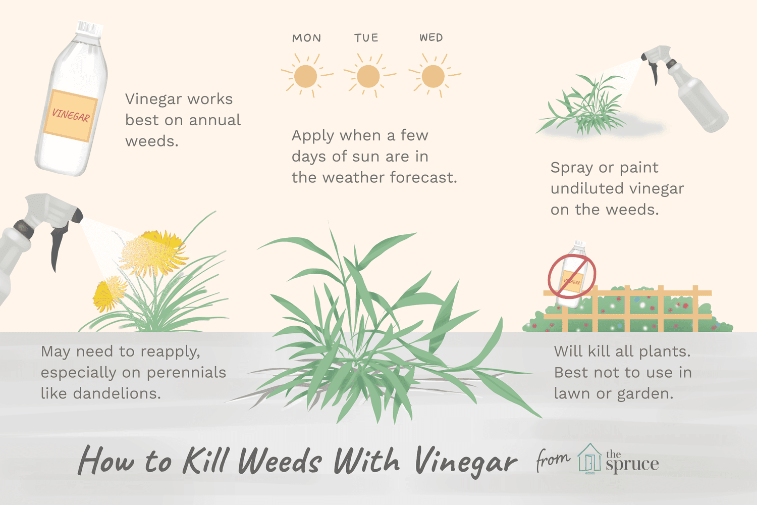 white vinegar weed killer recipe uk