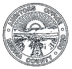 medina county auditors