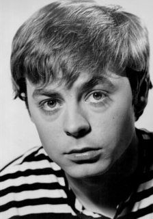 hywel bennett death cause