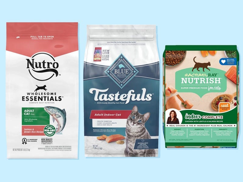 top rated dry cat food