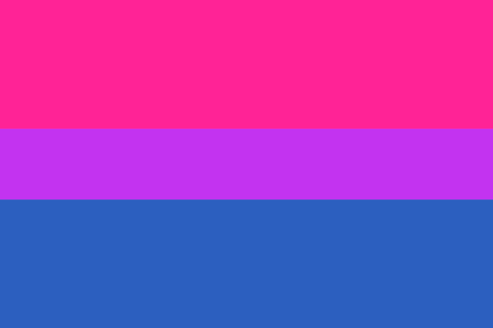 foto de la bandera bisexual
