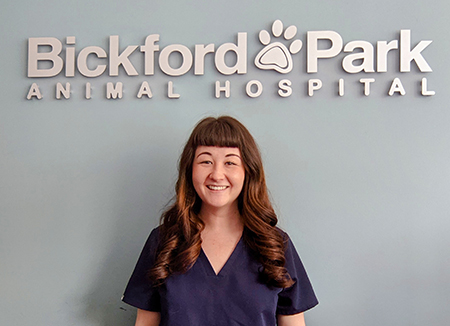 bickford animal hospital