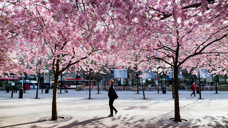 weather in stockholm march