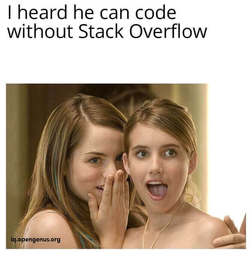 stackoverflow meme