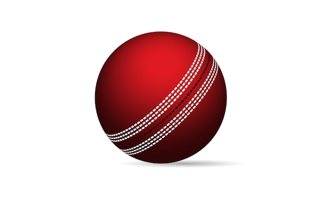 cricket ball vector